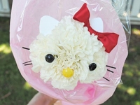 zakkalife Hello Kitty Flower Bouquet